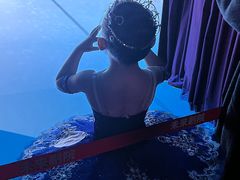 -芭蕾仙子 FairyBallet 少儿芭蕾舞蹈中心(丽都旗舰店)