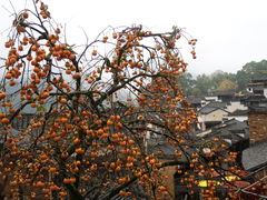 -篁岭景区