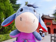 -洛阳白马寺