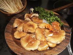 -季季山·云南野生菌火锅(上海首店)
