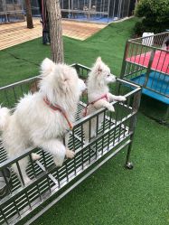 -萌宠亲子动物乐园(槐房万达店)