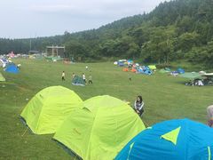 -武陵山森林公园