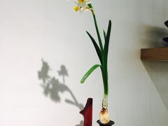 大堂-茶是一枝花泡茶店