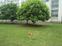 -江南大学(蠡湖校区)