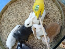 -思诺卡儿童俱乐部(东方广场店)