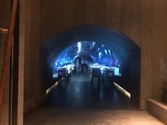 -海棠湾洲际-涛·海底餐厅·美人鱼·自助餐·海底隧道
