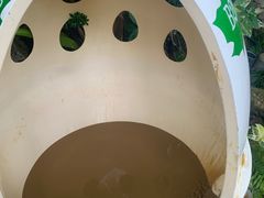 -100蛋泥浆浴