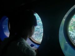 -加州迪士尼乐园