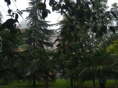 -西北大学(桃园校区)