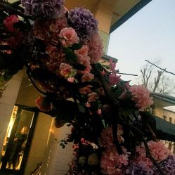 -Alice Nine婚礼艺术空间(总店)