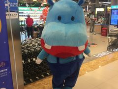 门面-盒马鲜生(宝地店)