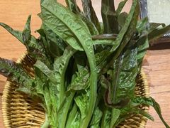 -巴奴毛肚火锅(龙湖锦艺城店)