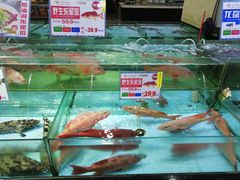 水产区-渔民新村(番禺总店)