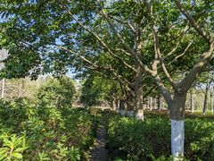 -白塘生态植物园