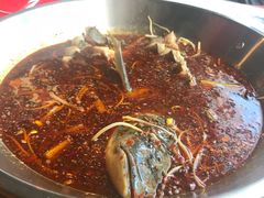 -红牌美蛙鱼头火锅(万辉国际广场店)