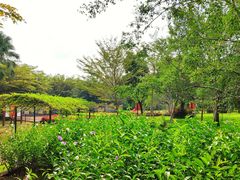 -红色娘子军纪念园