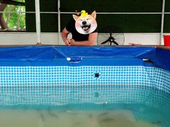 -小象钓虾·营地烧烤(洛溪店)