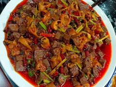 -后卫寨猫耳朵(后卫寨店)