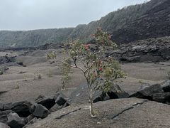 -夏威夷火山国家公园