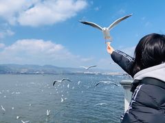 -滇池海埂公园