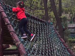 -原山国家森林公园