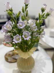 -WENDY·温迪皮肤管理