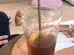 -柴务处·柴犬主题狗咖