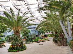 -北京植物园南门售票处