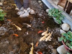 -山有花啡餐厅(常营总店)