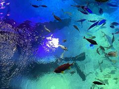 -沈阳海洋探索中心