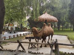 -北京野生动物园