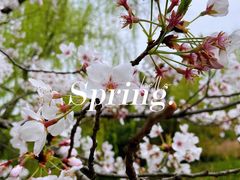 -闵行体育公园(七宝镇)