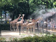 -广州动物园