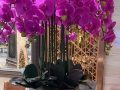 -上海小南国(国发店)