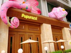 -帕帕拉兹宠物(亚洲旗舰店)