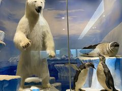 -国家自然博物馆