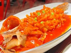 -新白鹿餐厅(城西银泰城店)