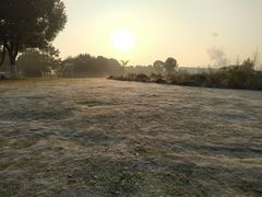 -九里河湿地公园