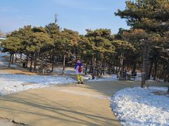 -北京西山国家森林公园