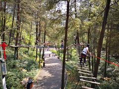 -梦幻奥陶纪景区