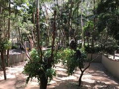 -可伦宾野生动物保护区