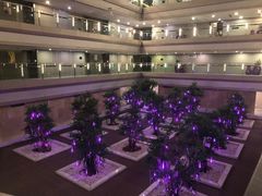 -南京禄口机场雅高铂尔曼大酒店