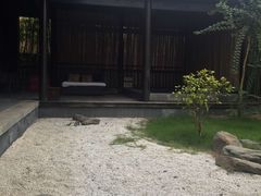 -崇阳三特浪口温泉