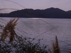 -东湖落雁景区