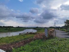 -四会奇石河风景区