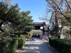 -阳台山自然风景区