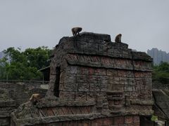 -南昌动物园