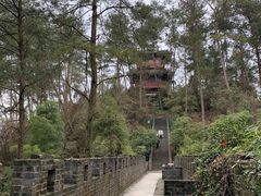 -梦姑塘文化公园