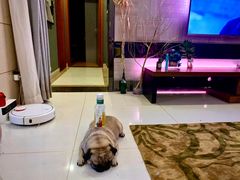 -有肆年整体软装设计 窗帘墙布硬包挂画(红星美凯龙双楠店)