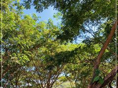 -金鸡岭桥头公园